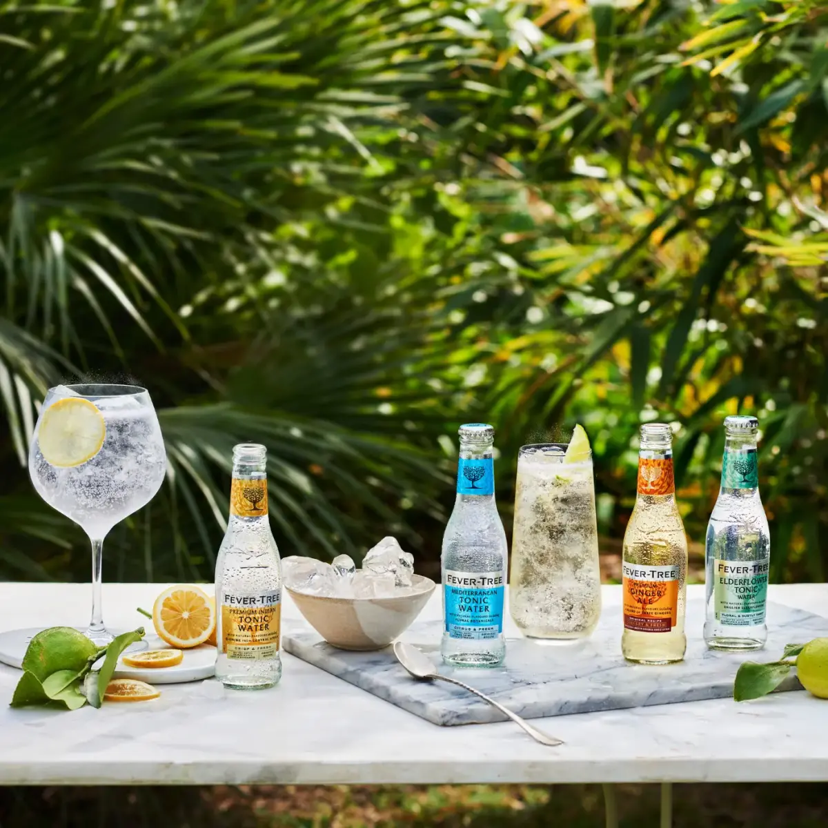 FEVER TREE 